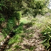Plants: image 68 Of 208 Thumb